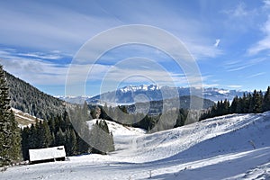 Winter in Carpathians mountains