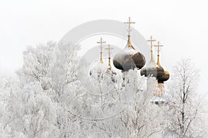 The winter cathedral