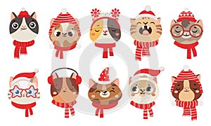 Winter cats in scarf and hat. Cute pet wearing Christmas accessory as earmuffs and party santa hats, kittens