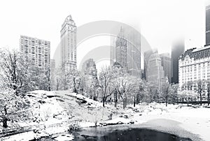 Winter in Central Park, NY