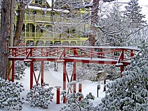 Winter in Chautauqua Institution photo