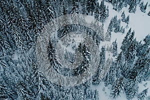 Winter chill. Natural winter landscape from air. Aerial view on the road and forest at the winter time. Forest and snow