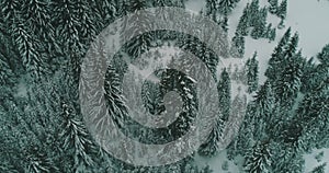 Winter chill. Natural winter landscape from air. Aerial view on the road and forest at the winter time. Forest and snow