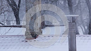 Winter Chimney Smoke in the Snowfall.