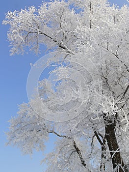 Winter in China, Wusong Island