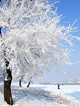 Winter in China, Wusong Island