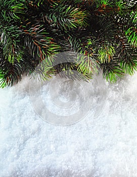 Winter Christmas background. Christmas boarder with fir tree branch with cones on the snow. Winter holidays concept.