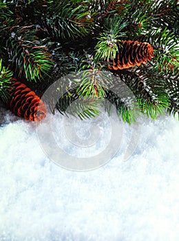 Winter Christmas background. Christmas boarder with fir tree branch with cones on the snow. Winter holidays concept.