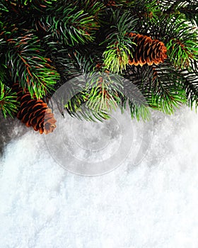 Winter Christmas background. Christmas boarder with fir tree branch with cones on the snow. Winter holidays concept.