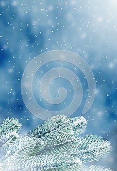 Winter Christmas background with fir tree branch. Merry Christmas and happy New Year greeting card. Winter landscape with snow and