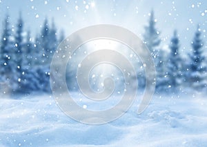 Winter Christmas background with fir trees