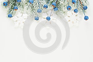 Winter Christmas card composition with blue berries, Xmas tree branch and Snowflakes isolated on white background.