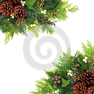 Winter and Christmas Greenery Background Border