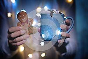 Winter Christmas holidays background with Cup of cocoa or hot chocolate with Christmas cookies and Christmas light