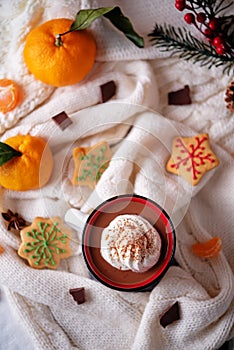 Winter Christmas holidays background with Cup of cocoa or hot chocolate with whipped cream with cinnamon sprinkles