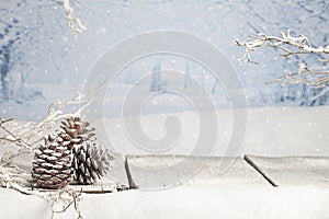 Winter Christmas Scene photo