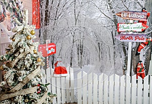 Winter Christmas scenic. New Year`s winter scenery in the studio. Christmas background decorated for photo session