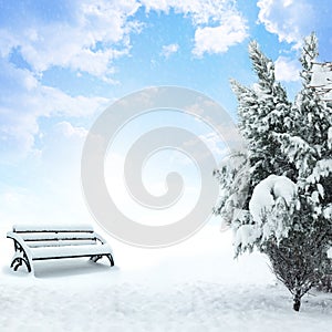 Winter Christmas snow scene