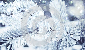 Winter Christmas snowy fir tree background. Snow pine tree branches with bokeh. Winter or Christmas web panoramic banner