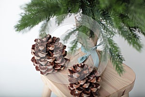 Winter and Christmas spirit photograph with Pinetree and pinecones on white background