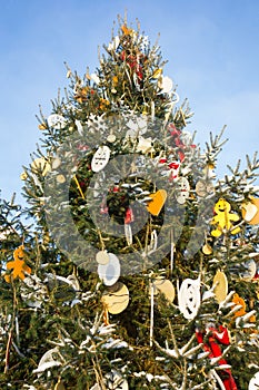 Winter christmas tree on blue sky background