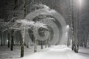 Winter city birch park in the evening blizzard