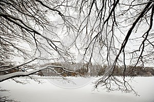 Winter in the city park