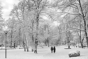 Winter in City Park. Couple in winter park.