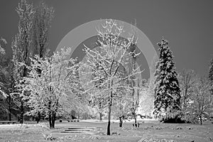 Winter city park in evening.