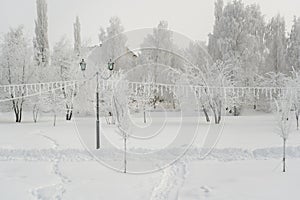 Winter city park in Russia. Trees covered with hoarfrost, severe frosts