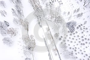 Winter city park. snow-covered trees and frozen water canal. top view aerial photo