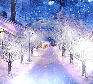 Winter city snowy  evening park trees covered by snow andstarry sky and moon nature background 3 d illustration