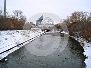 Winter cityscape. River and ducks. Yekaterinburg. December