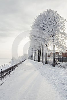 Winter cityscape with snow covered trees