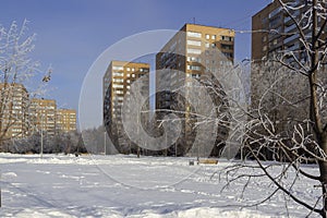 Winter cityscape with trees in the rime