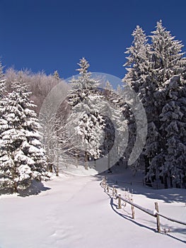 Winter in Ciucas Mountains