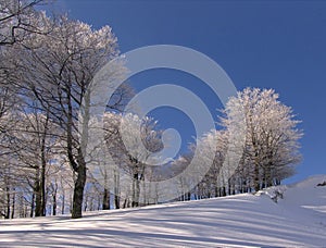 Winter in Ciucas Mountains