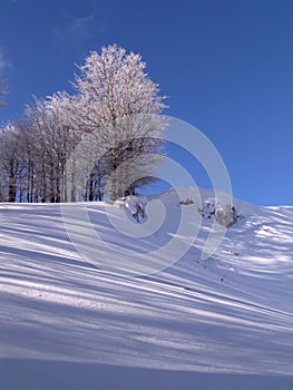 Winter in Ciucas Mountains