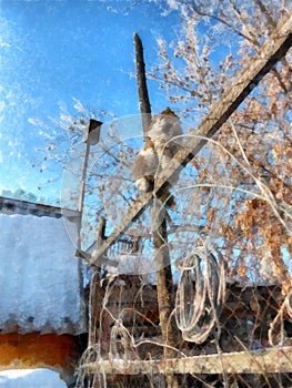 A winter clear day, a rural landscape with a rustic garden cover