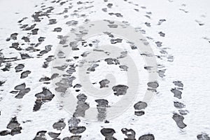 Winter closeup of many footstprints in freshly fallen snow.
