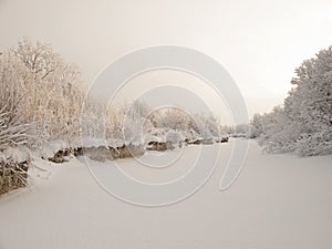 Winter cloudy landscape with frost on branches of the trees