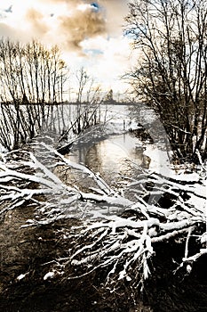 The winter cold river has not yet frozen, over the river a snow-covered tree hangs