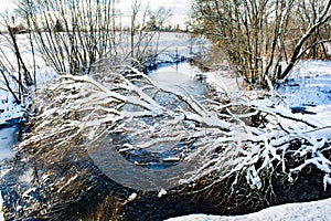 The winter cold river has not yet frozen, over the river a snow-covered tree hangs