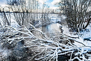 The winter cold river has not yet frozen, over the river a snow-covered tree hangs