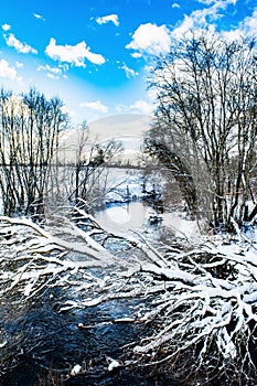 The winter cold river has not yet frozen, over the river a snow-covered tree hangs