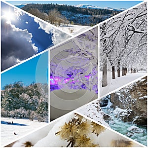 Winter collage of photos of a village house in Christmas lights, sleighing children, winter forest, dry flowers under snow, mounta