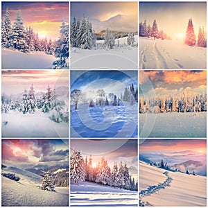 Winter collage with 9 square Christmas landscapes.