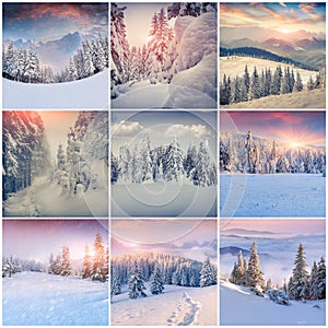 Winter collage with 9 square Christmas landscapes.