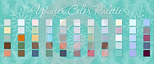 Winter Color Palette Vector Illustration