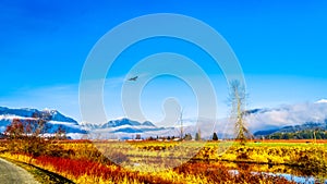 Winter colors of farmers` fields in Pitt Polder near Maple Ridge in the Fraser Valley of British Columbia, Canada